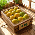 Alphonso Mangoes